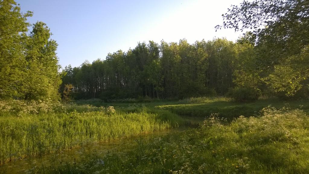 Bed & Breakfast Boszicht Леэварден Номер фото